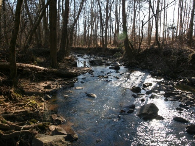 photo of Basin Creek in the winter with sunshine coming down through the trees and onto the water, rocks in the water