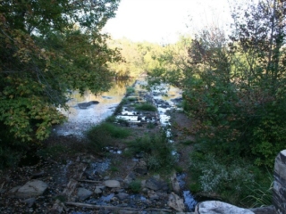 photo of dam remains at Swepsonville looking along them with trees on either side in the foreground
