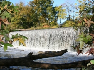 a photo of the river pouring over the Glencoe Dam at Great Bend Park framed by maple trees and a log in the foreground