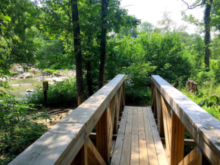 photo looking along a wooden pedestrian footbridge with vegetation in front and river to the left on a sunny day