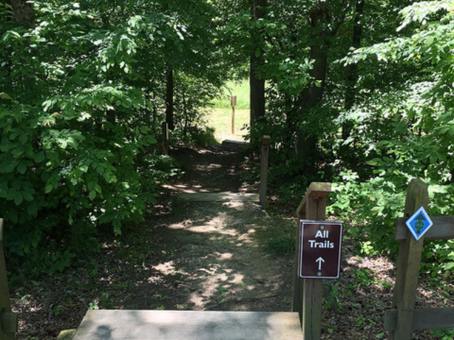 photo of trail entrance at Great Bend Park with wooden steps and sigh pointing to All Trails leading to a trail through trees that opens into a field