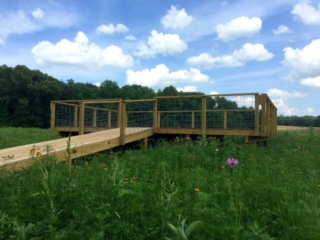 photo of the wooden observation deck platform and ramp to the platform situated in a wildflower meadow with blue sky and clouds and a treeline in the background