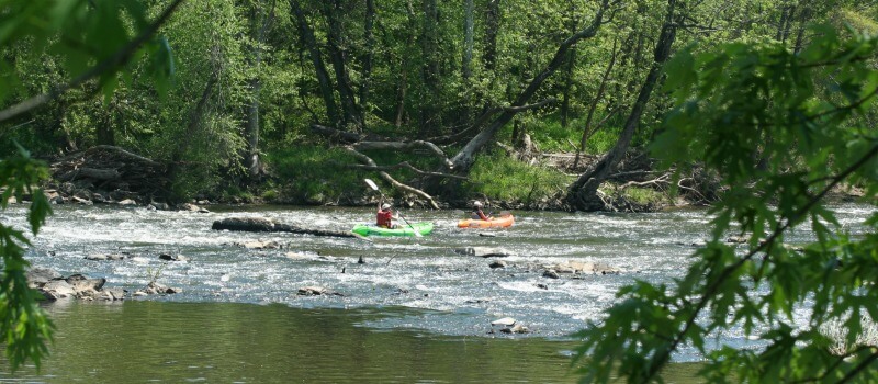 photo of two kayakers tackling minor rapids with green trees in foreground and background