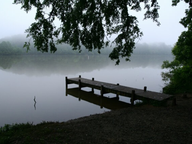 photo of the dock at Saxapahaw Lake Paddle Access on a misty morning with trees in the foreground and mist over the lake and far trees