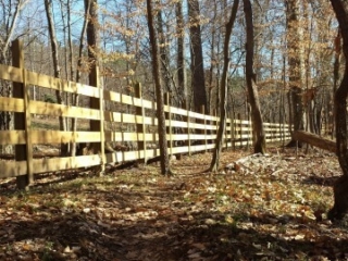 a photo of the trail at Sellers Falls looking along the trail with a wooden fence along the left and mostly leafless trees