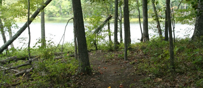 photo of the Haw River Trail in the woods at Stoney Creek Marina with a background view of the water