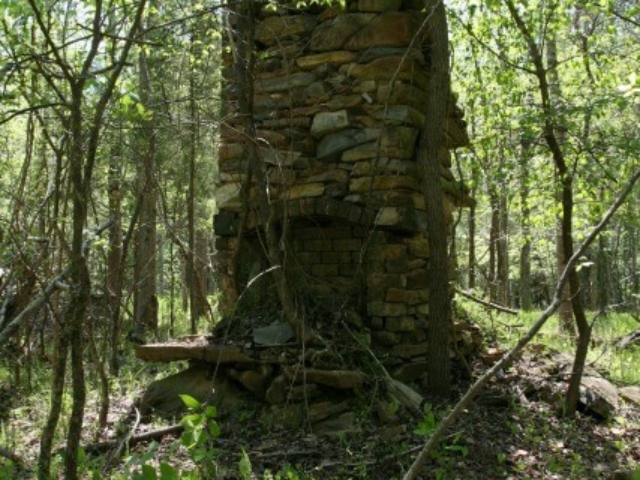 photo of the remains of a stone chimney from the Tickle homestead in the woods