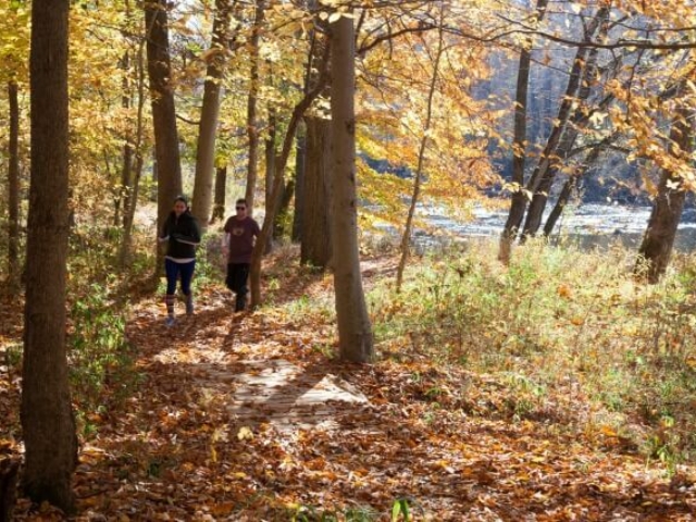 two runners running towards the camera on the trail across a footbridge with fall leaves on the ground and fall color on the trees