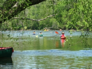photo looking upriver through trees from the riverbank at five kayakers from the YeeHaw River Paddle